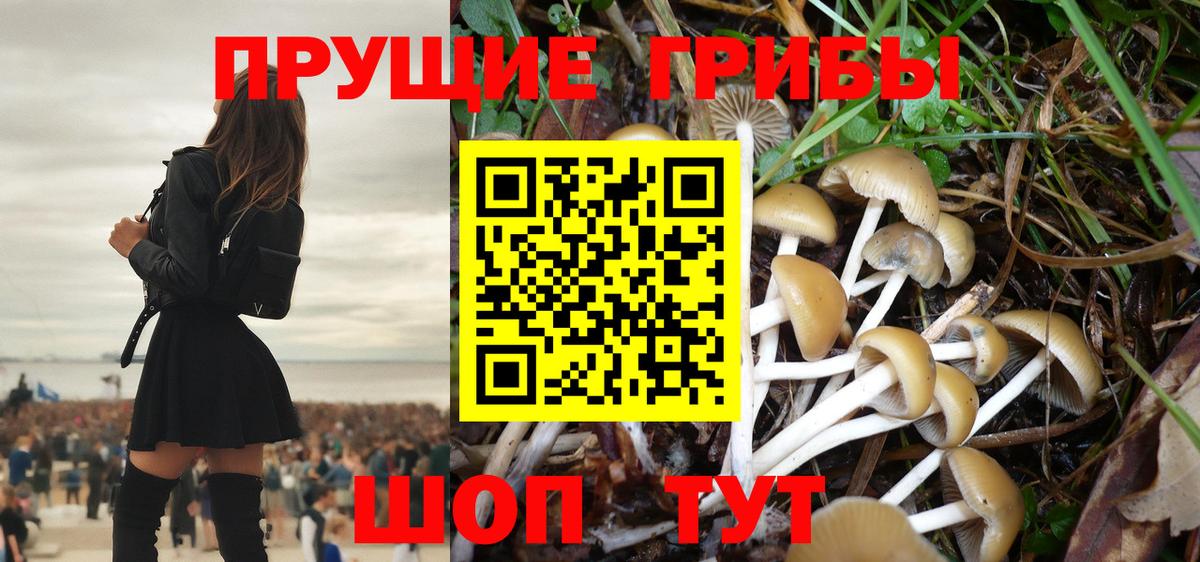 Псилоцибиновые грибы прущие грибы  Галлюциногенные грибы MAGIC MUSHROOMS  Россия  Вход с VPN 